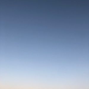 Meet your Posher, Tyson